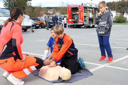 Slovenija oživlja 15 Foto Ljubo Vukelič